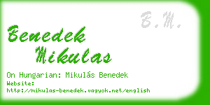 benedek mikulas business card