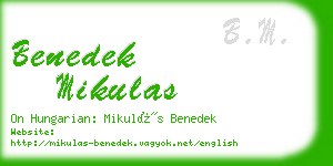 benedek mikulas business card